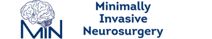 Minimally Invasive Neurosurgery Hands-on Courses
